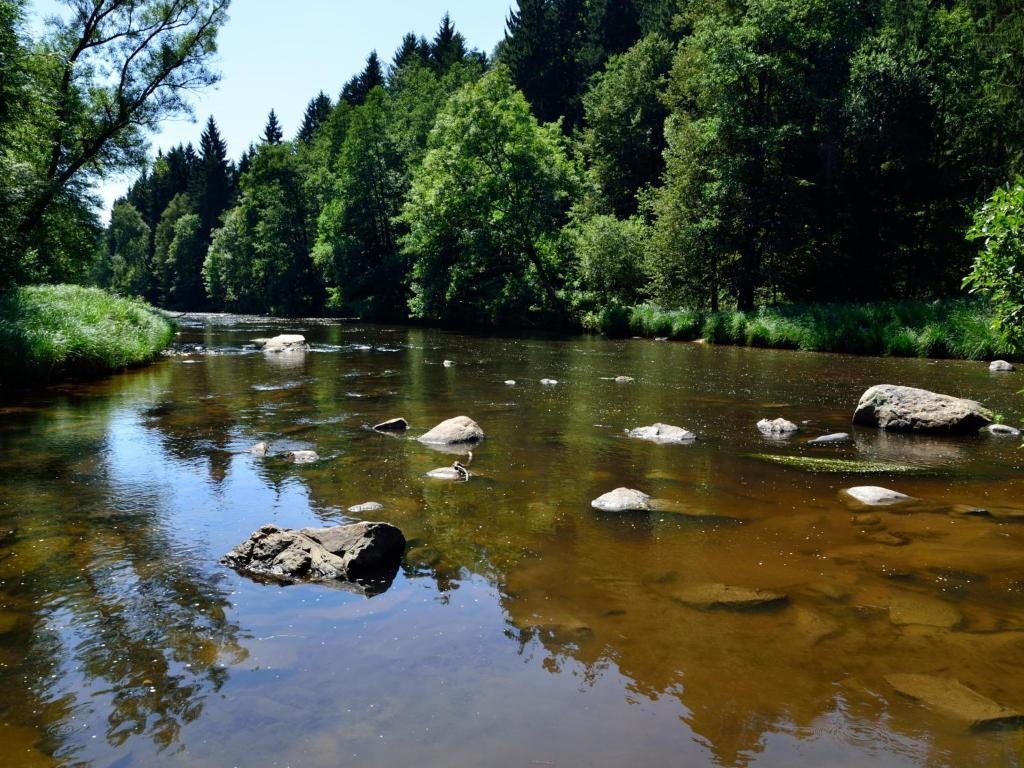 Ferienwohnungen Grill Schönberg Quarto foto